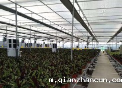 花卉温室大棚类